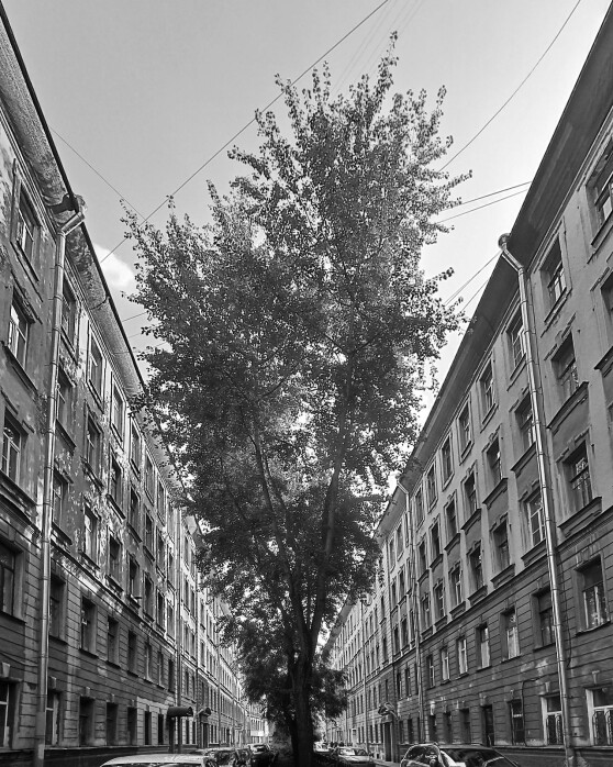 A community of fans shooting on a smartphone. twenty-fourth collection