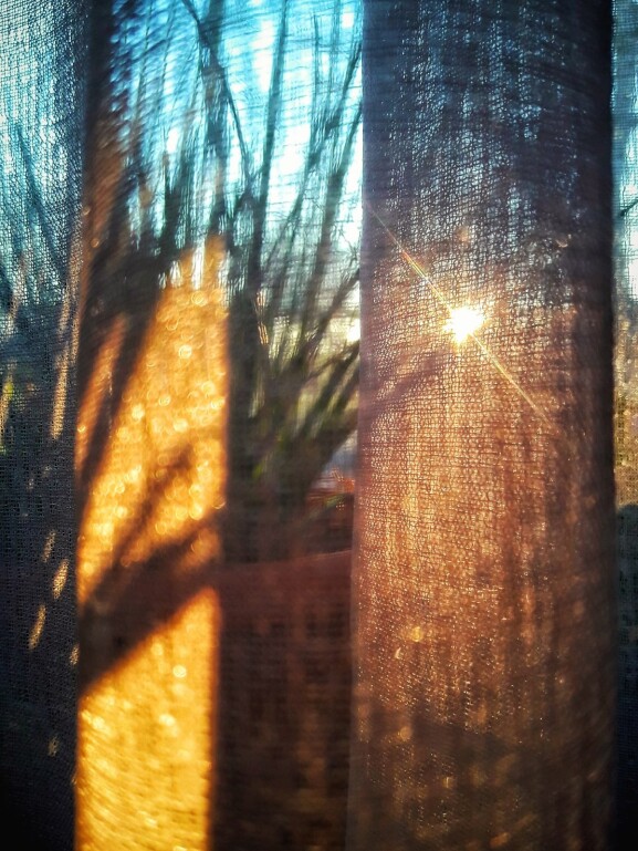 mobile photography