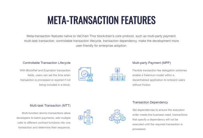 VeChain transaction features