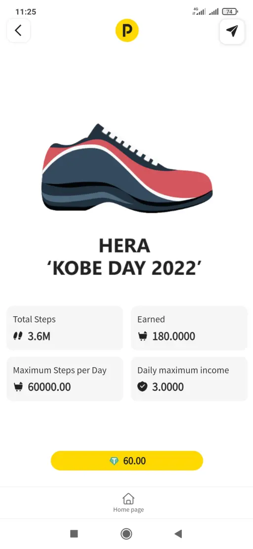 EXPENSIVE TRX SHOE