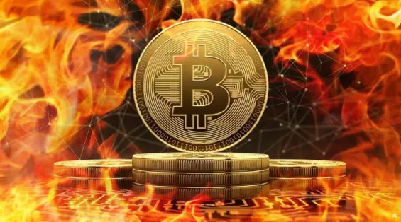 e32b62d5181b75d808e76467e2aac5839215ebf78502e1b06dd59db6d3a29117.jpg