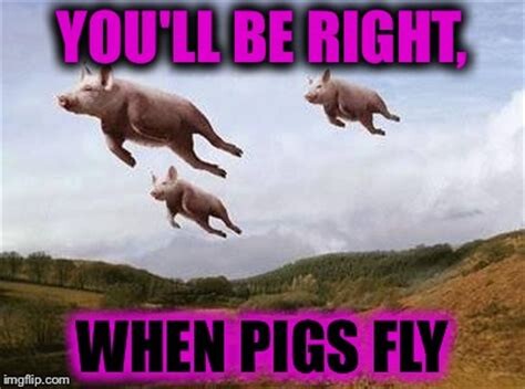 1bea9be890cfeaaebc183c260ee18007c6175ebca7210b517974e1f1345ab82e.jpg