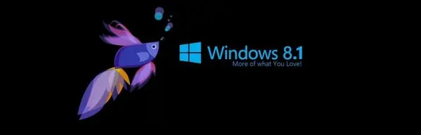 Windows 8.1