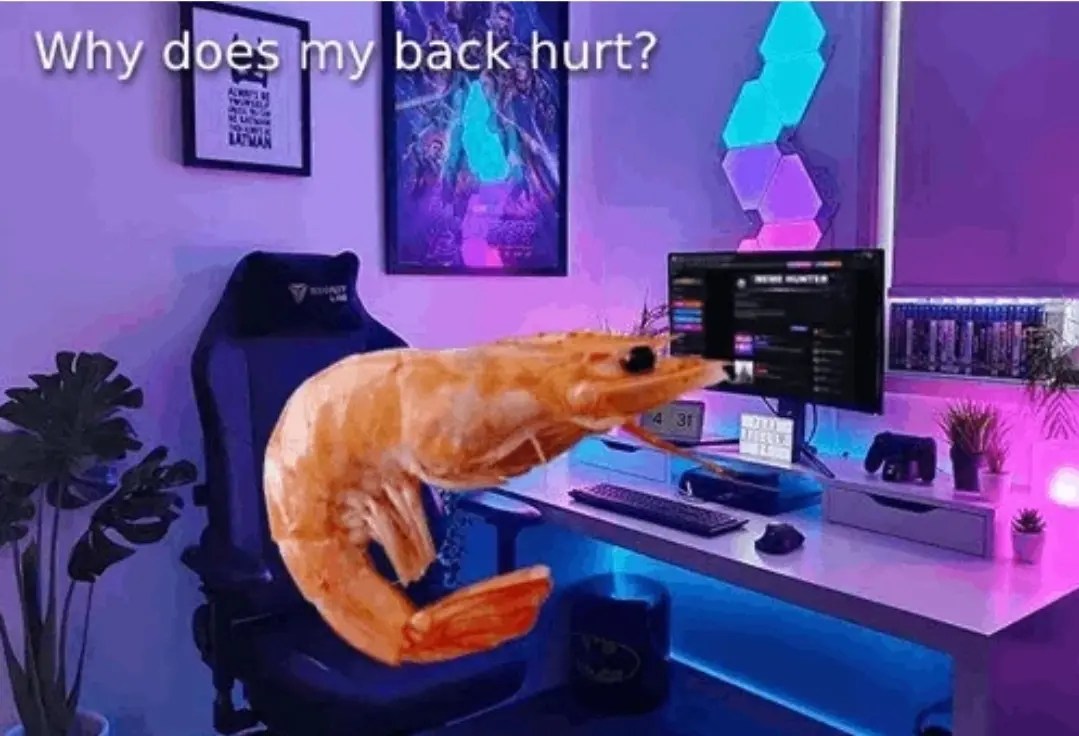 d07f8ee9138fbea8aeb3e6a54b1aae49a08500ca3aea16f3e1e911dd5d8696f8.jpg