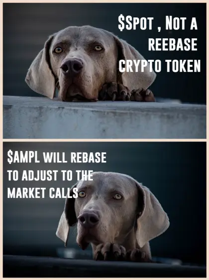 SPOT is not a rebase token. What is SPOT?