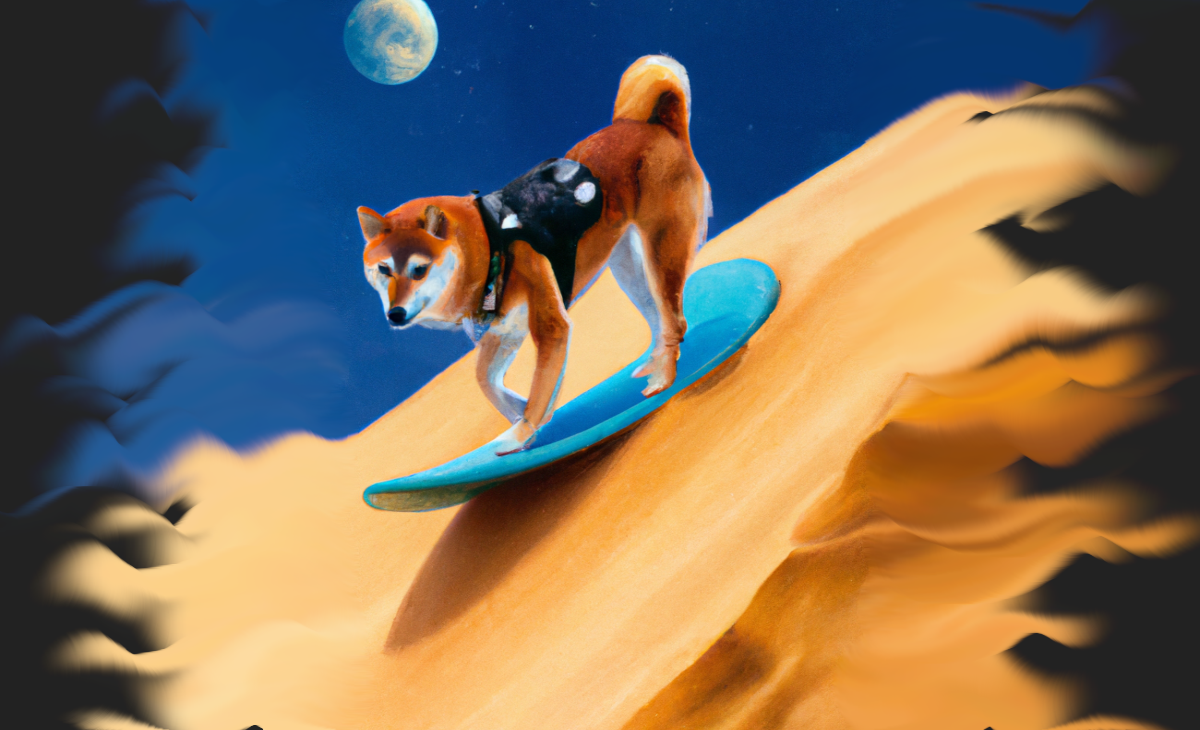 shiba surfing down the dunes with a slim harness pack on his back