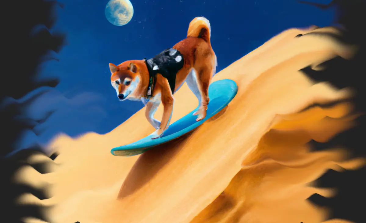 shiba surfing down the dunes with a slim harness pack on his back