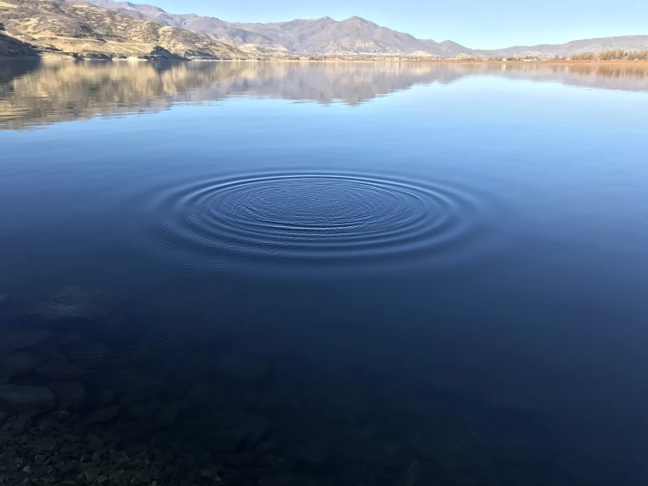 Water Droplet