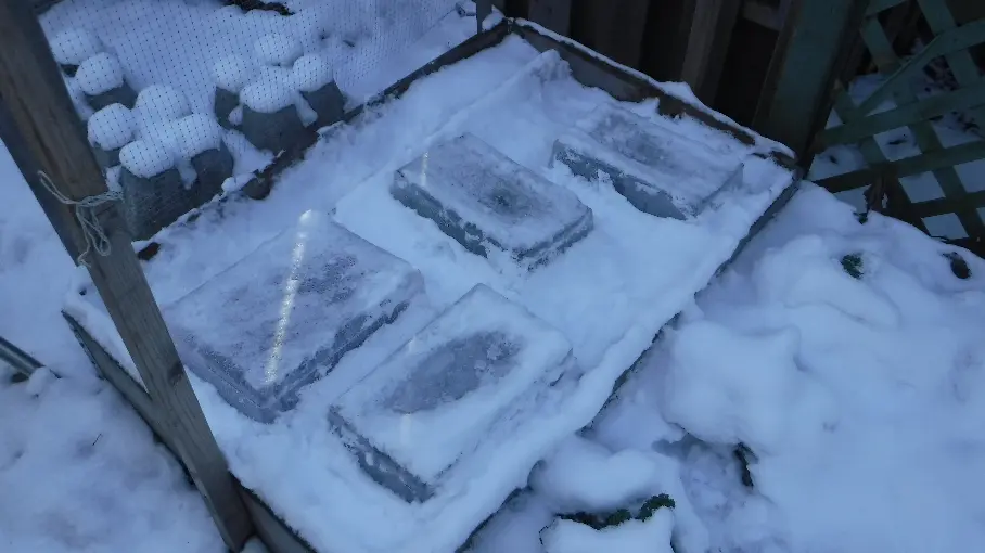 Snow covered planters