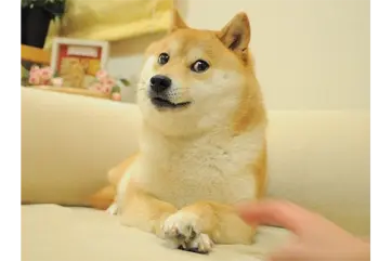 b6b6ca9b81b30b2bb4fb1ba9ac0f944c2e35d7e0afe02df0e813f29d9eaa38cf.png