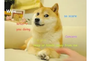 10799a9561ce8385d4c4f1fb36ba9bd3bf8d0422f10c44272598c255a68c70b5.png
