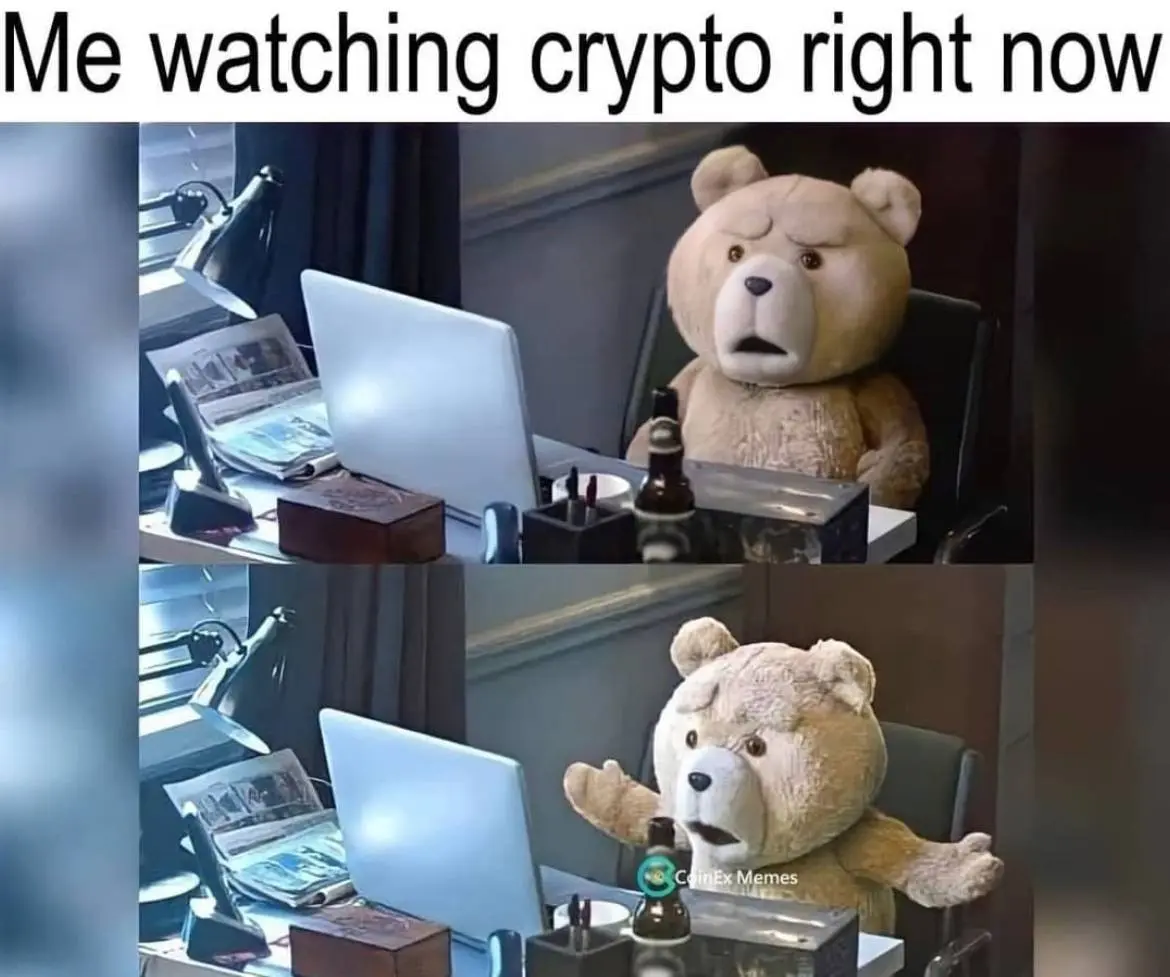 13ac6a3f0a813ef188e5c8bec275e289281cc7b07d37d0b5d5f7890ba55ba5fc.jpg