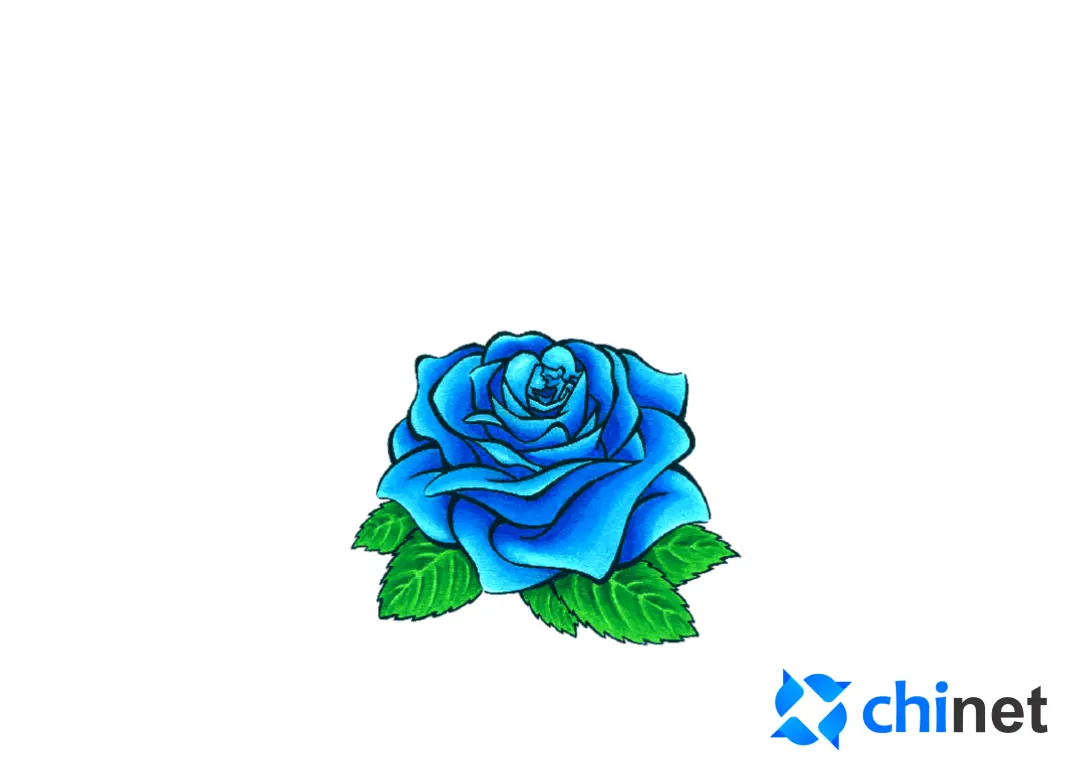 49ec5d76ec9c03d6d4573d3a65ea3a09c0db5aa26def457b73d7339ed7ea1cab.png