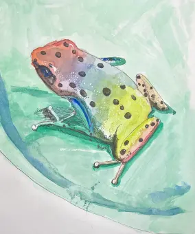 a rainbow frog
