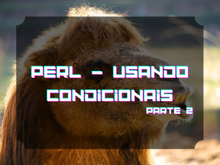 bf70091d12f9c91aa2af1fe1375ee3f7c93de450a2afedcd63f94f19098ea520.png