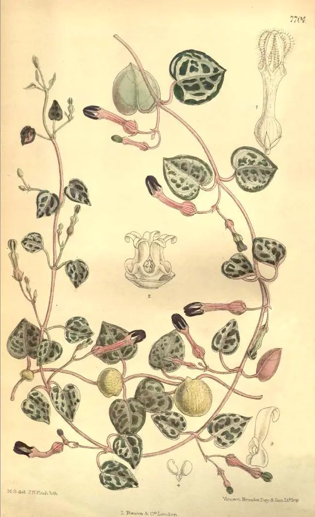 4df113af53a058da8775f0365f30c888130c79e09a71f816838ce57f9a0b41e6.jpg