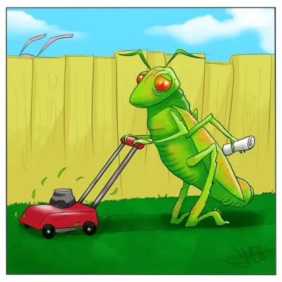 Two-Striped Grasshopper