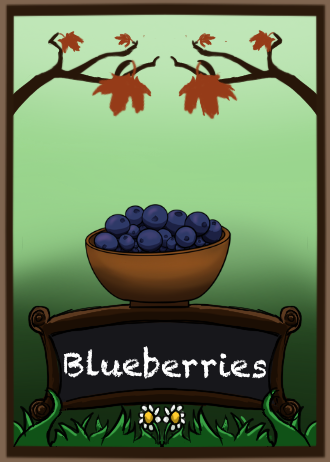 Blueberries