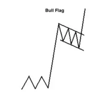 Motif de drapeau de taureau