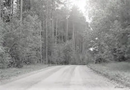 898331b71a23b943787ac57bd17b5bfe6dc561e2db481775112fb0fa6e9d5b8a.jpg