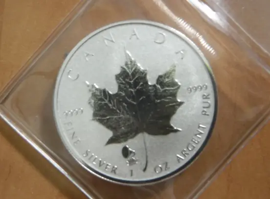 2019 Reverse Proof Privy Silver Maple Coin