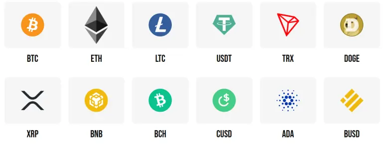 Coinsbee available coins to pay with