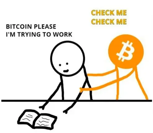 5538e8adf08e71beeb58cfb11fe3997b5f5032d3eea213e297d77c26401db6c1.png