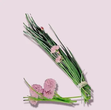 chives