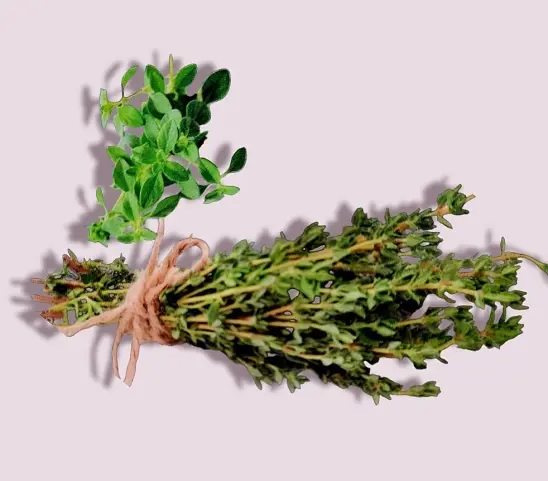 Thyme