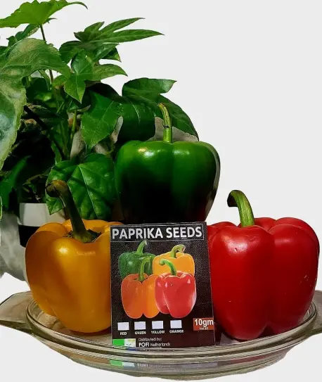 Capsicum Annum