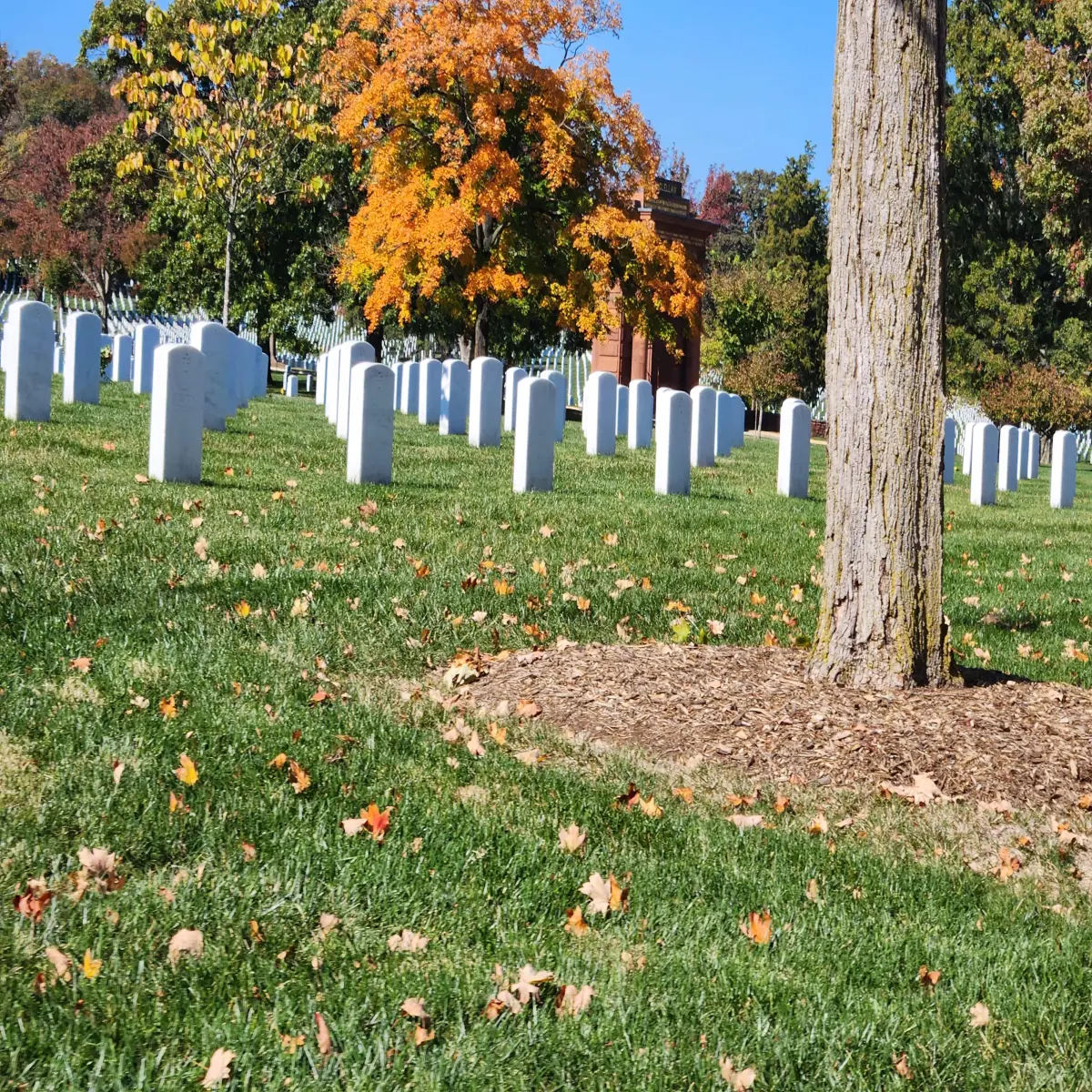 Arlington National Cemetery Fall Colors