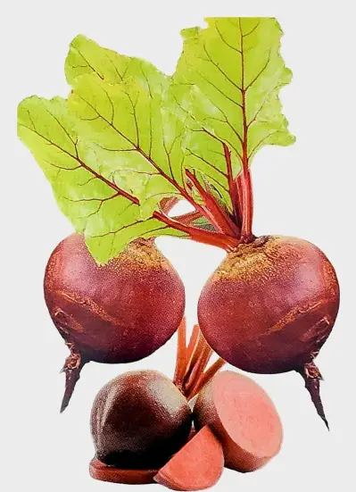 Beetroot