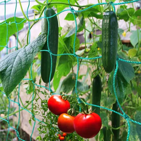 Trellis Netting