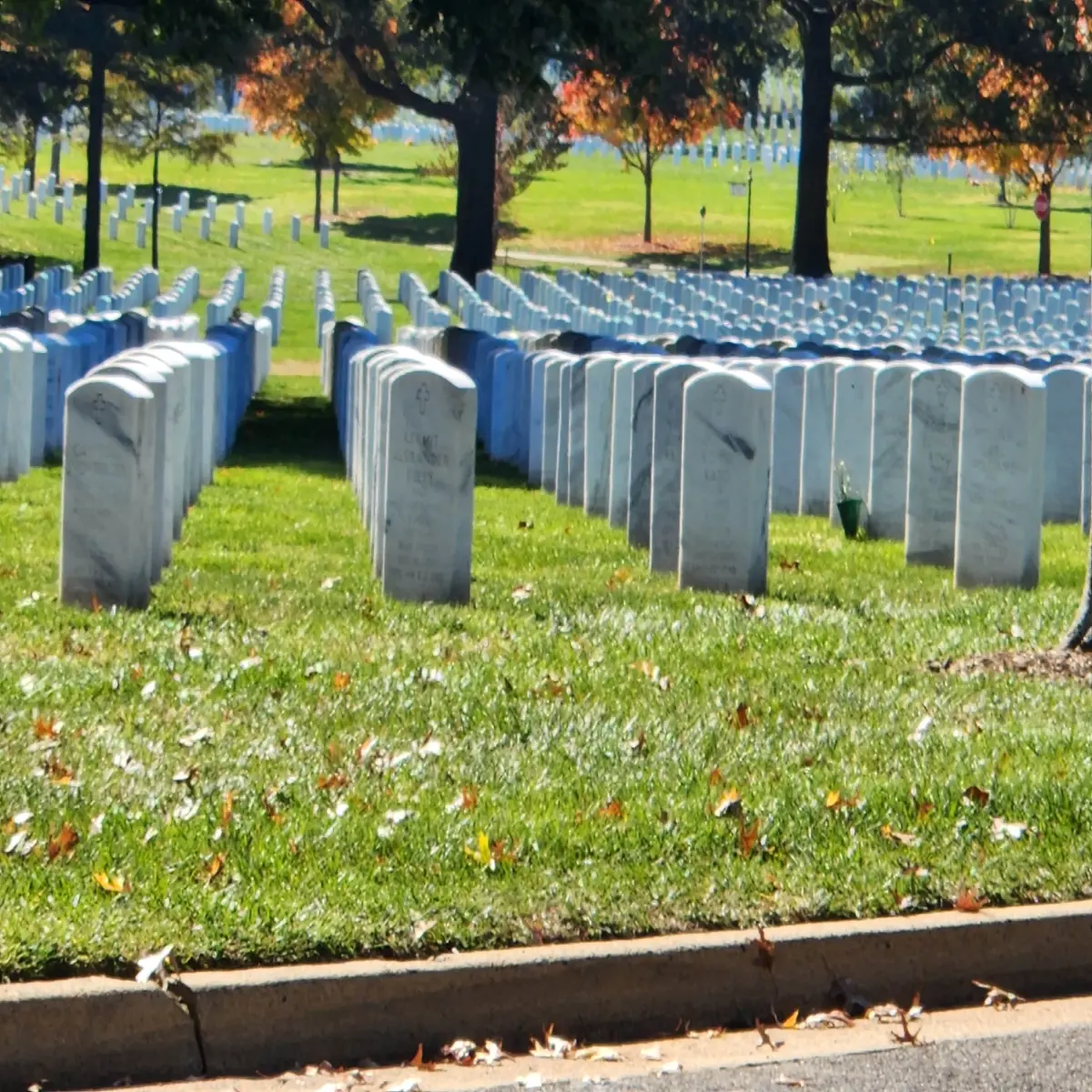 Arlington National Cemetery Road, Turf, and Tombstones