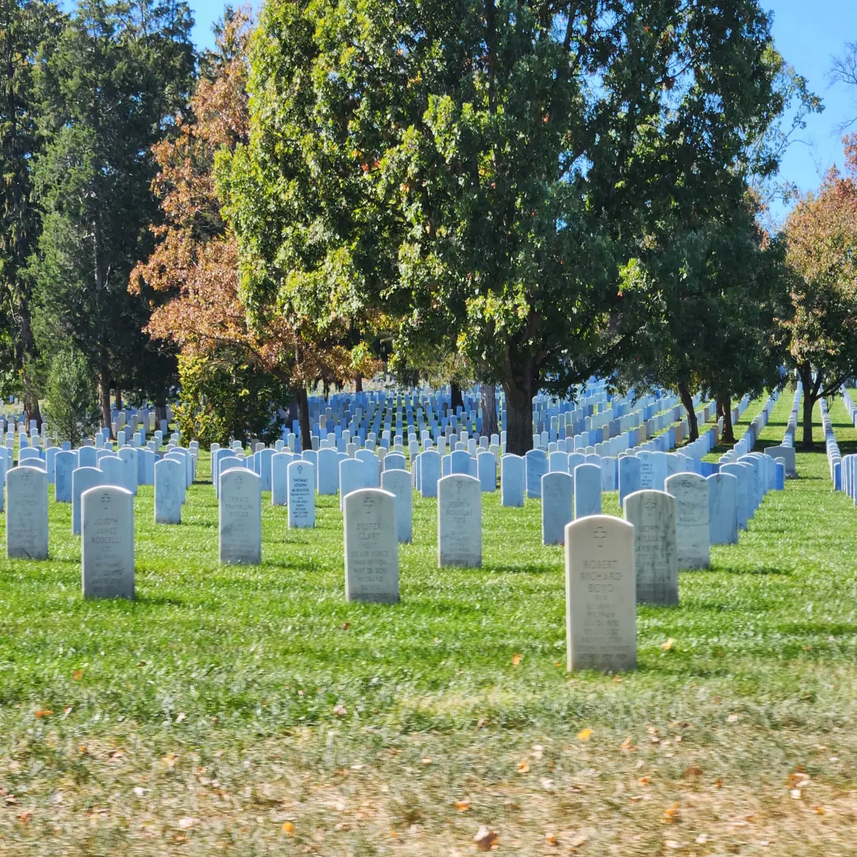 Arlington National Cemetery Contrast of Colors
