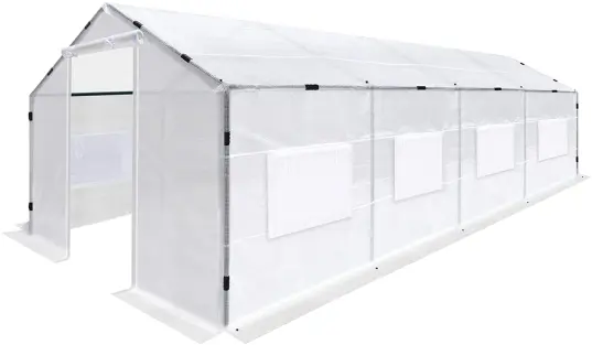Mini Greenhouse Tunnel Greenhouses