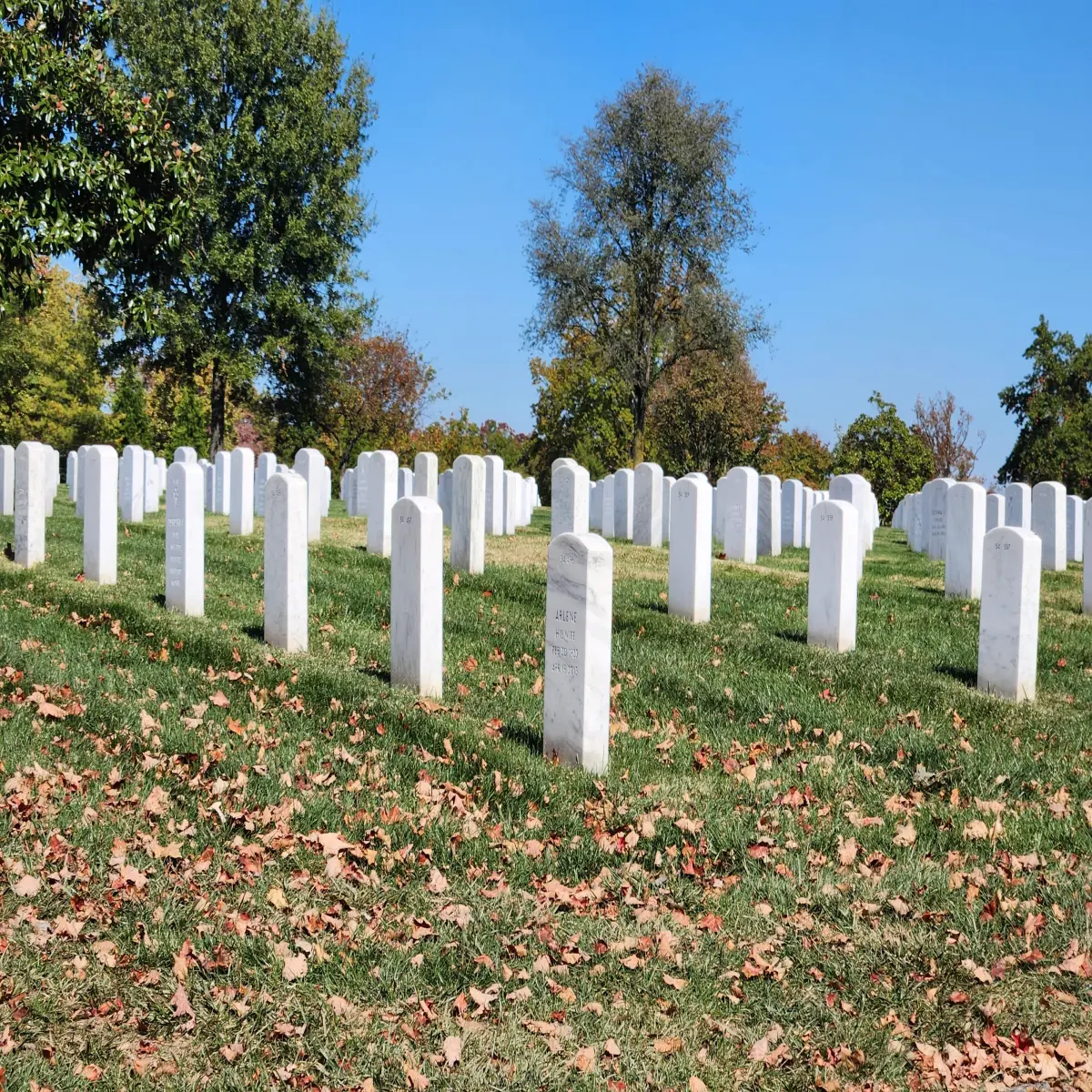 Arlington National Cemetery Trees, Leaves, & Cold White Stones