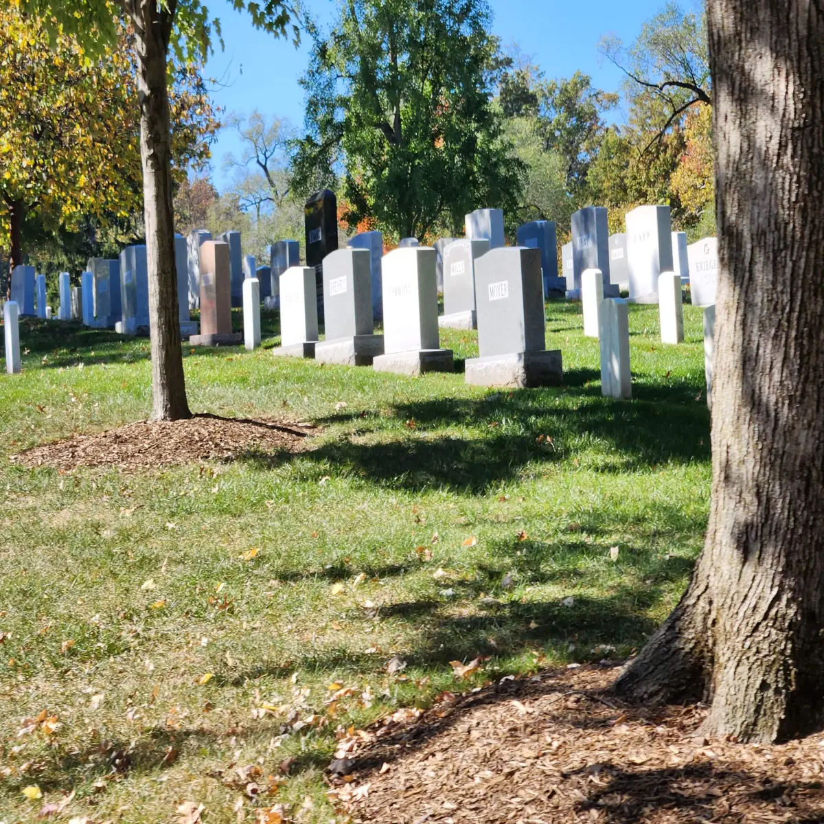 Arlington National Cemetery Stones Face Forward