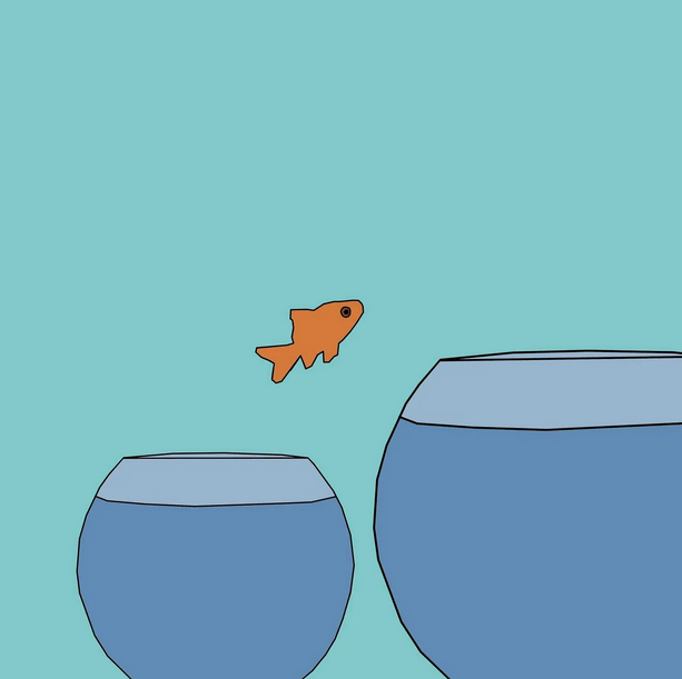 7211598a5eb0da1cbbfcf73c1139c063ecf2d3d0c2e9a5f08da992df94925cc2.png