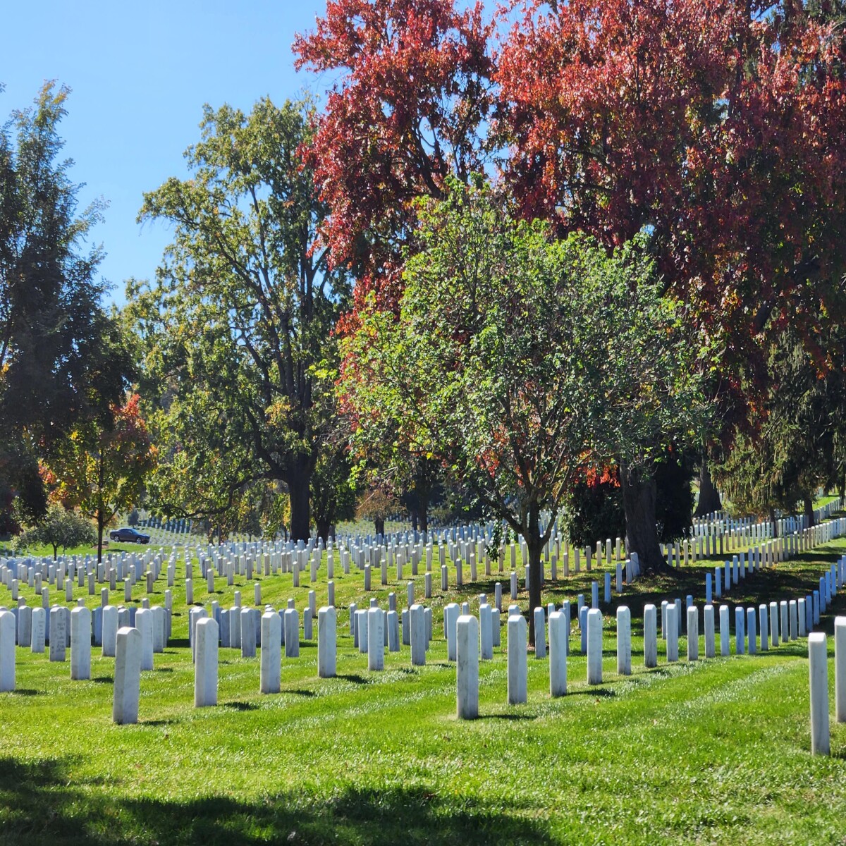 Arlington National Cemetery Fall Splendor