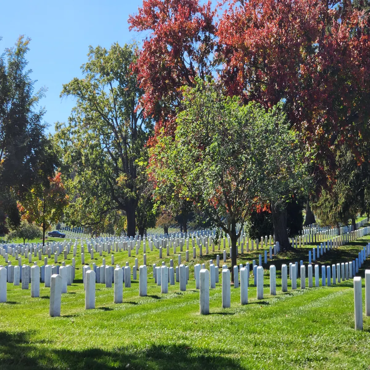 Arlington National Cemetery Fall Splendor