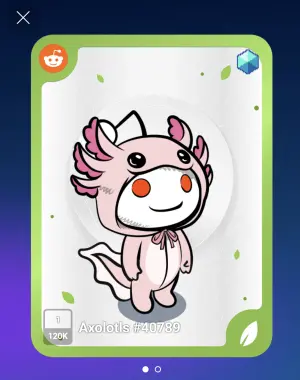 Reddit Endangered Animals NFT