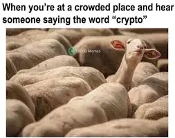 6af8608b865c9af3a37d89e3def2d10b57c982a6d857cceb7947e597ce394598.jpg