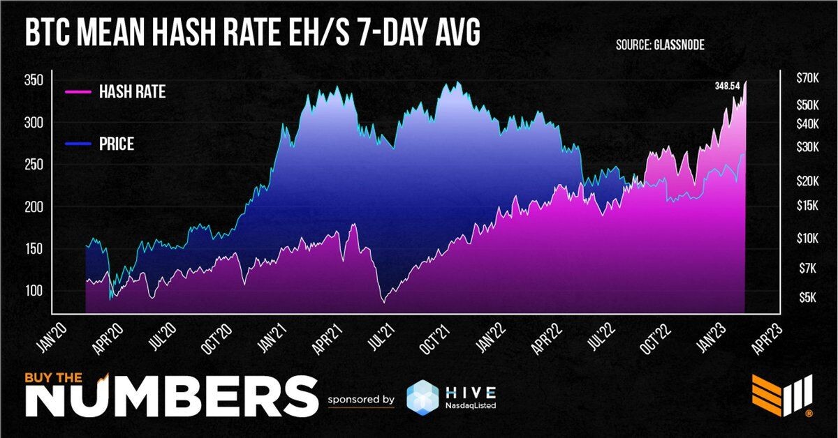 bitcoin hash rate bull market