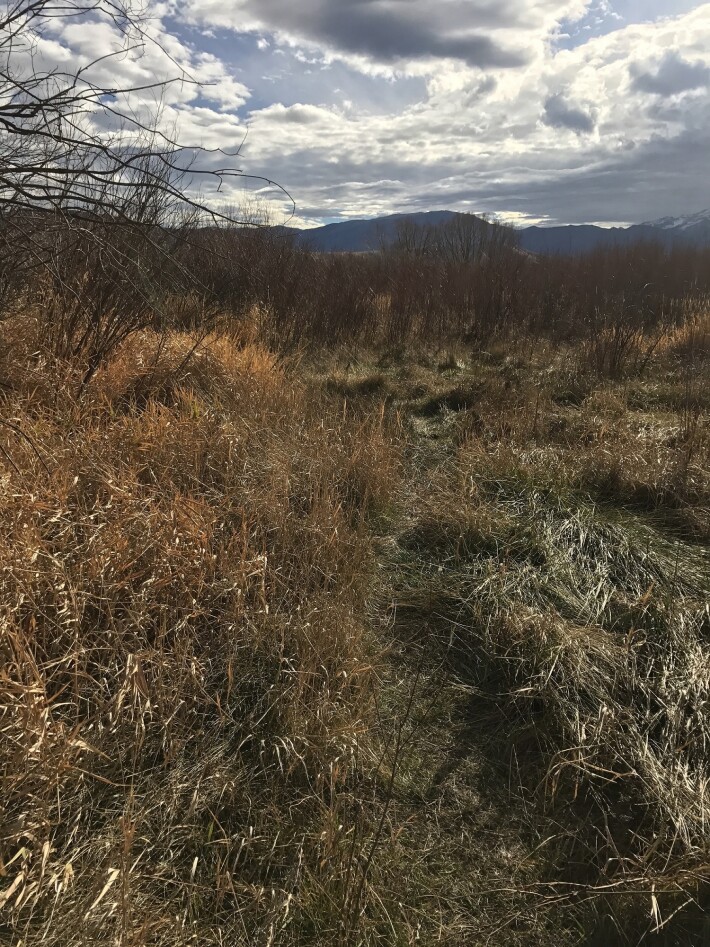 Distant Mountains