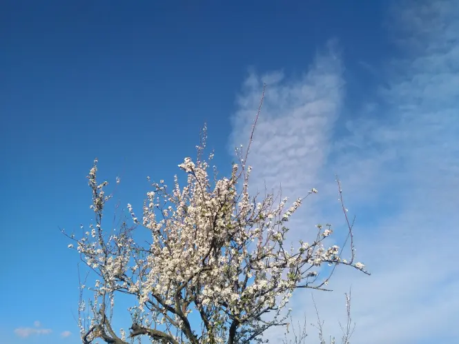 Spring Happineass & A Trip Down Memory lane