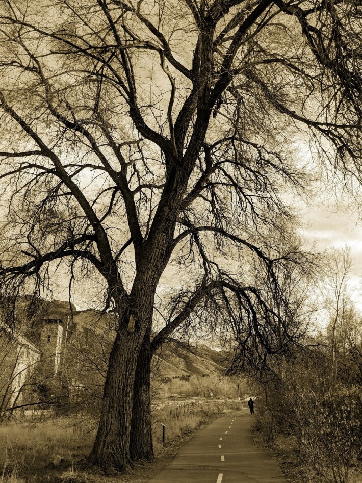 Figure in Old Mill Park