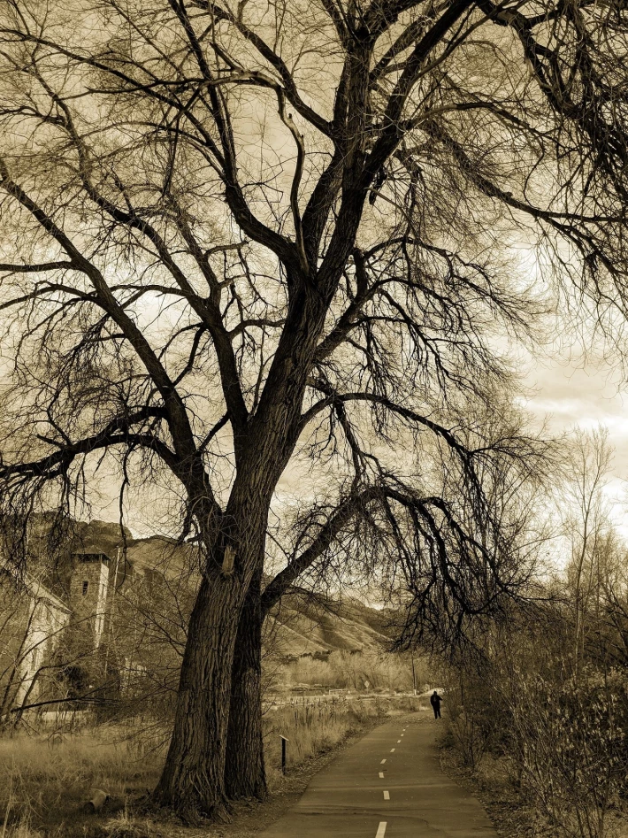 Figure in Old Mill Park
