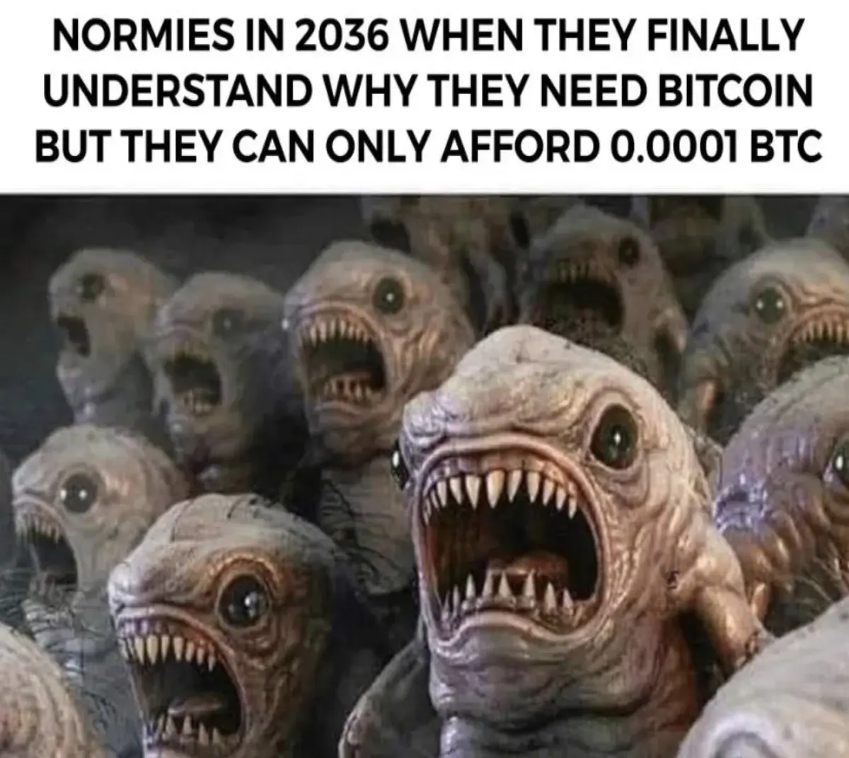 8a1c9d772d9ede038390bd0d945173d4a71d1cd18412f1f985ce46e930cb596c.jpg