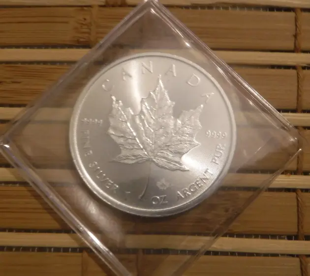 2023 Silver Maple